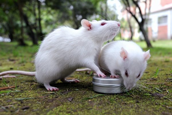 381b9742-a5aa-4e3b-8c8c-57e41c801f93