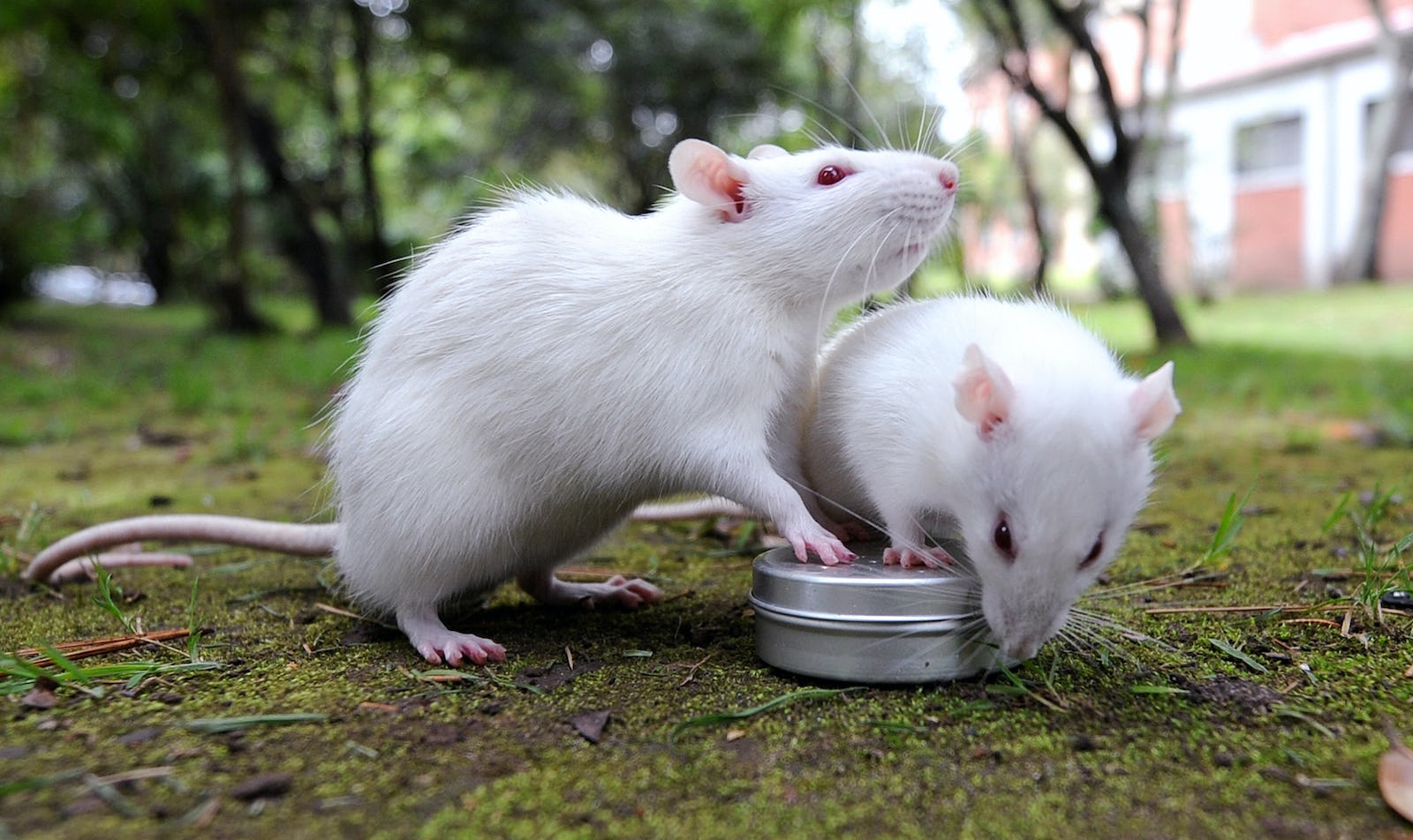 381b9742-a5aa-4e3b-8c8c-57e41c801f93